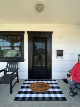 Sleek Black Full View Security Door in Northern California