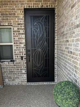 Unique Black Titan Security Door in Northern California