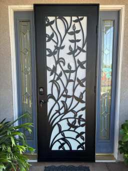 Stylish and secure, this Black Titan security door is part of our recent Northern California installation.