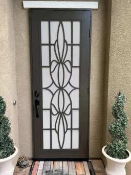 Northern California Decorative Titan Door in Bronze