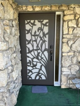 NorCal Bronze Security Door With Stylish Titan Design
