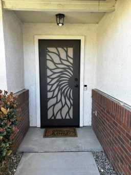 Bronze Titan Security Door With Designs in NorCal