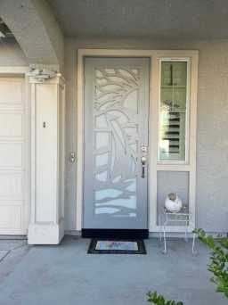 Gray Titan Security Door With Decorative Design in NorCal