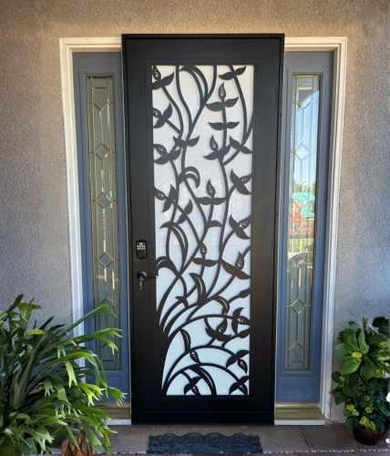 Decorative bronze Artisan security door with custom design and durable frame